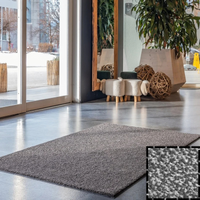 Wielofunkcyjna mata wejściowa tekstylna kolor Black Steel| Iron Horse Light| KLEEN-TEX