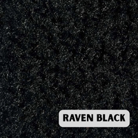Raven Black