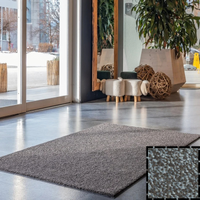 Wielofunkcyjna mata wejściowa tekstylna kolor Granite| Iron Horse Light| KLEEN-TEX