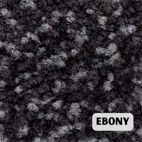 Ebony